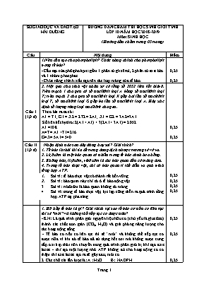 Đáp án đề thi học sinh giỏi tỉnh môn Hóa học Lớp 10 - Năm học 2018-2019 - Sở giáo dục và đào tạo Hải Dương